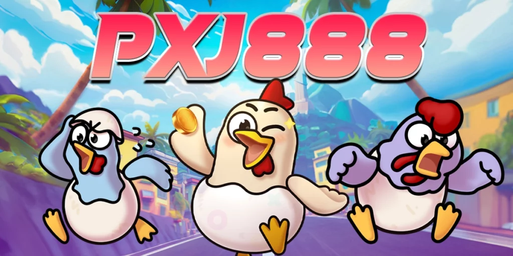 pxj888